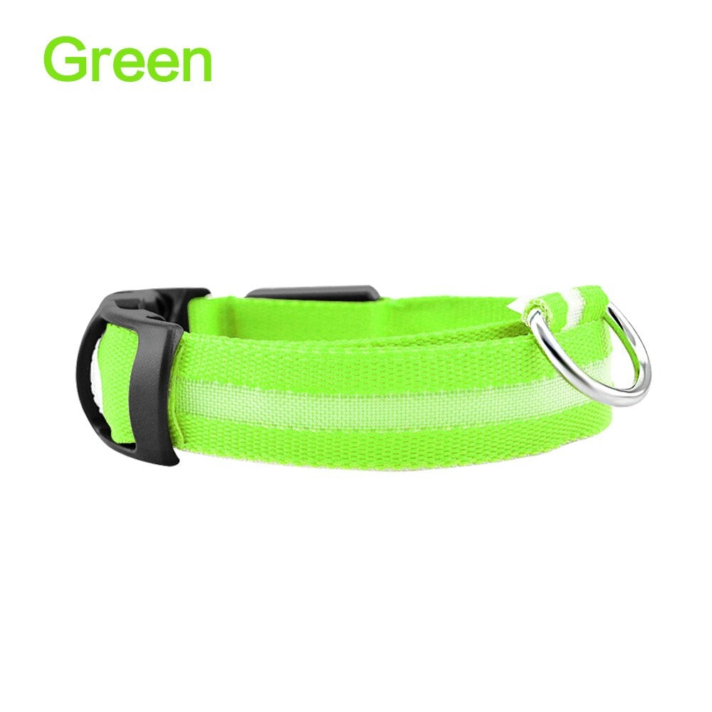 LED Dog Safety Collar – Night Glow