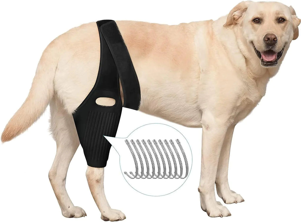 Paw Healer Dog Knee Stabilizer